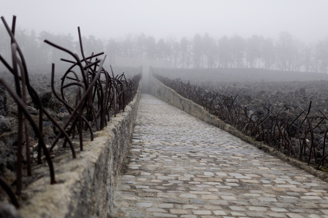Brukowana droga oraz betonowa opaska z wystającymi metalowymi drutami, na drugim planie wejście do Niszy Ohel we mgle. 