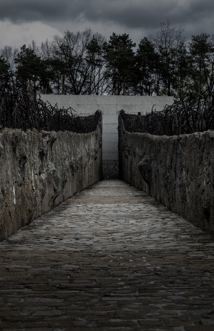 Wąska brukowana ścieżka pomiędzy wysokimi betonowymi ścianami zakończonymi splątanymi metalowymi prętami. Droga prowadzi w kierunku białej ściany na końcu, a nad nią widać drzewa i ciemne chmury.