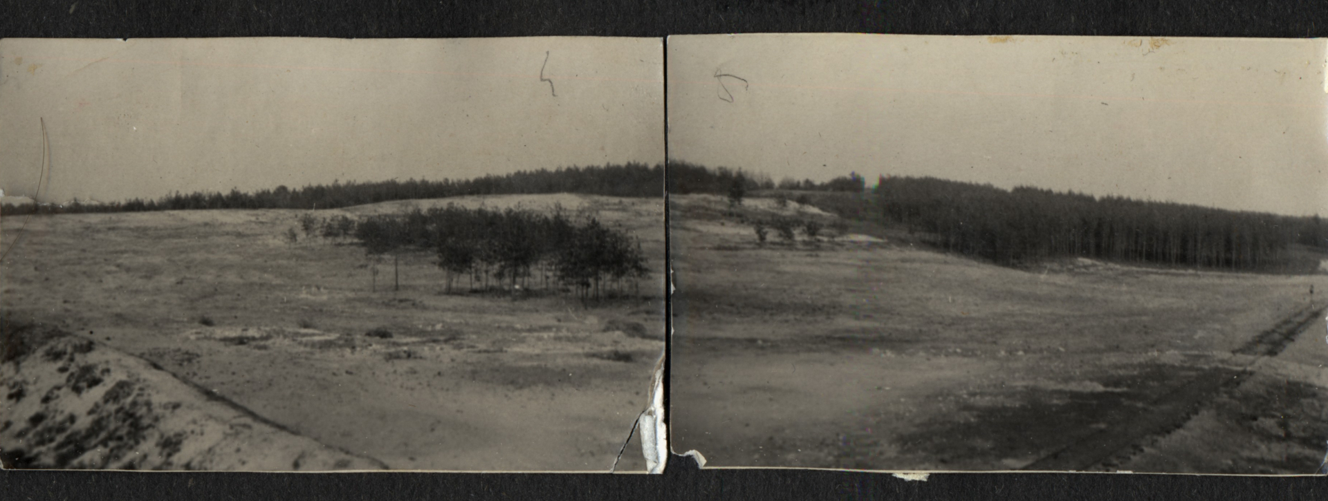 Panoramiczne ujęcie złożone z dwóch czarno-białych, archiwalnych fotografii połączonych ze sobą. Przedstawia rozległe wzgórze o piaszczystym, nierównym podłożu. W centralnej części placu rośnie niewielka grupa młodych, rzadkich drzew. W oddali, na całej linii horyzontu, widać gęsty, ciemny las. Po prawej stronie kadru widoczny jest zarys torowiska biegnącego w stronę lasu.