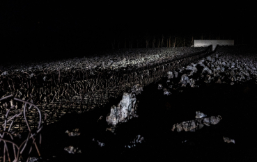 A night-time photograph of the grounds of the Museum and Memorial in Bełżec. A beam of light reveals, against the darkness, the texture of the jagged slag and the metal bars running along the ‘Crevice’. In the distance, against the backdrop of the dark forest, the illuminated concrete wall of the monument glows.