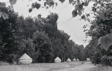 A black-and-white photograph. A wide shot showing a row of concrete bins along the road, taken from behind a tree branch.