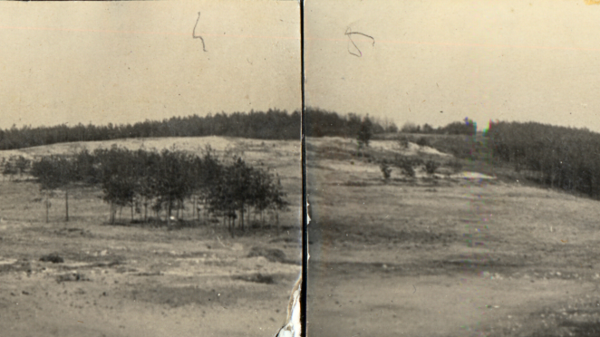 An old black-and-white (sepia-toned) panoramic photograph showing the empty, sandy site of the former Bełżec extermination camp. A dense coniferous forest is visible on the horizon and at the edges, whilst a small group of young trees grows in the middle of the field.